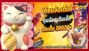 สล็อต224 ตอบสนองความสนใจที่หลากหลาย